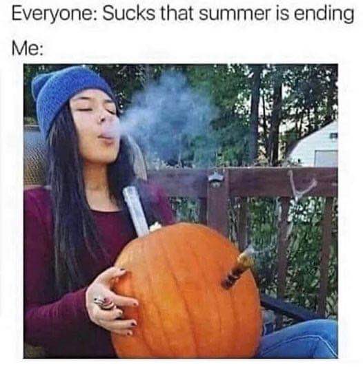 Everyone's sad summer is over, but I'm already prepping for fall with this pumpkin bong.