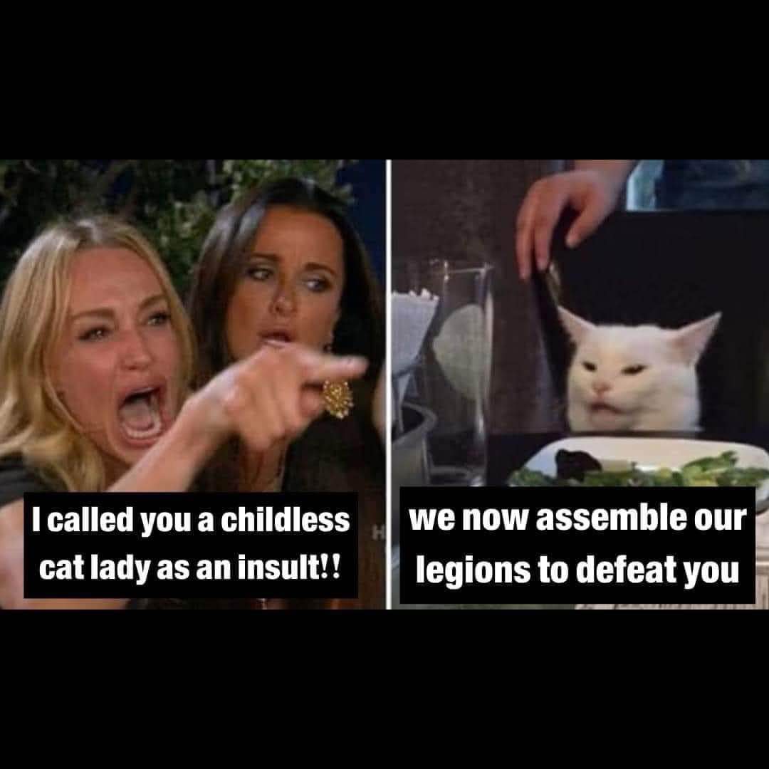 When someone tries to insult you but you're living your best cat lady life