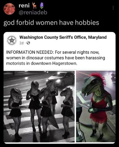 Women out here living their best lives harassing drivers in dinosaur costumes meanwhile the sheriff is calling them out