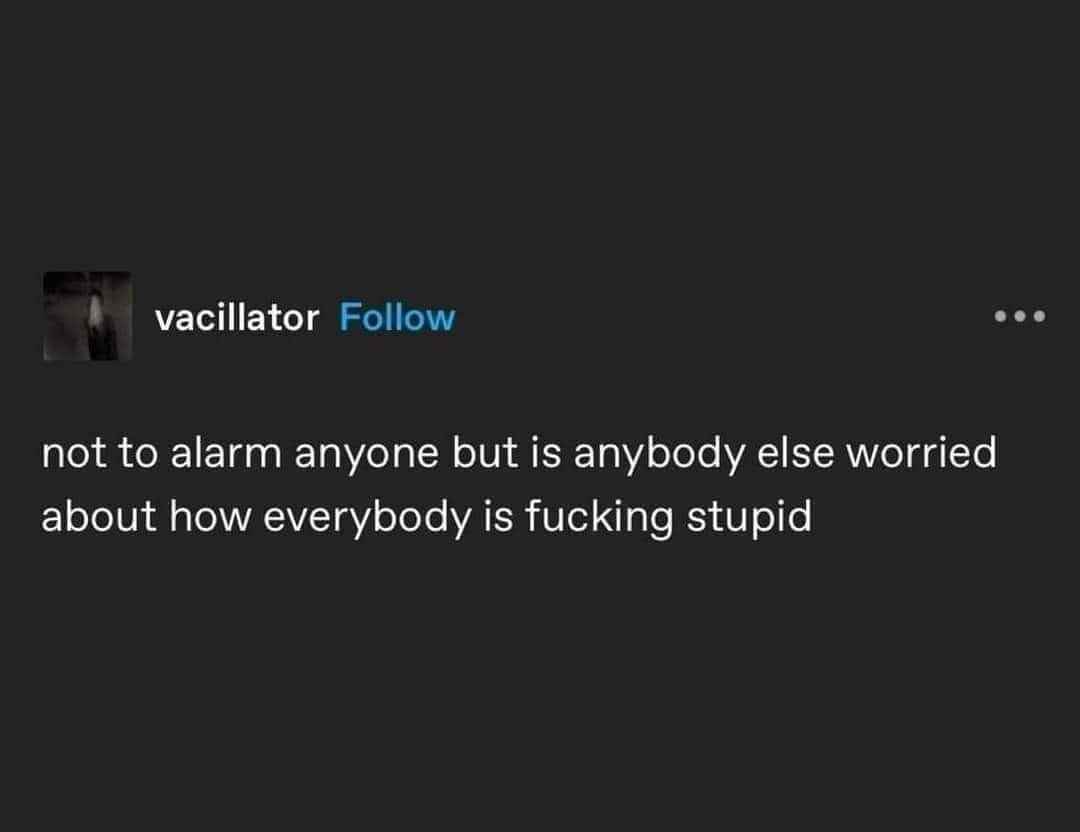 Is it just me or is everyone else just kinda dumb?