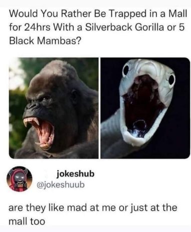 Lol idk which is worse, the gorilla or the snakes, but I'm leaning towards them just being mad at the mall.