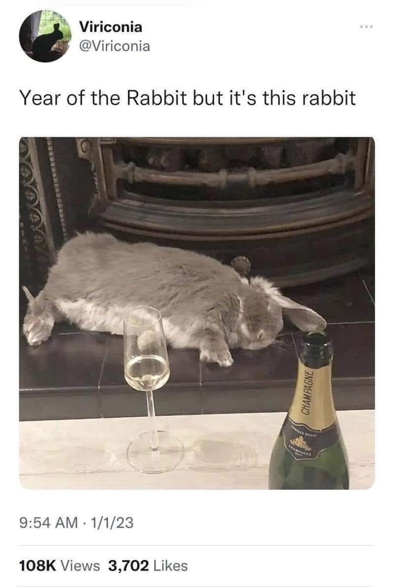 This is the Year of the Rabbit but the rabbit looks like it's had too much champagne already