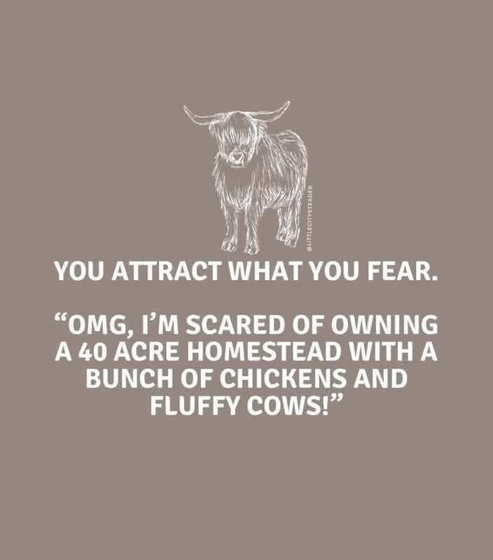 Me saying I'm scared of owning a homestead with chickens and fluffy cows