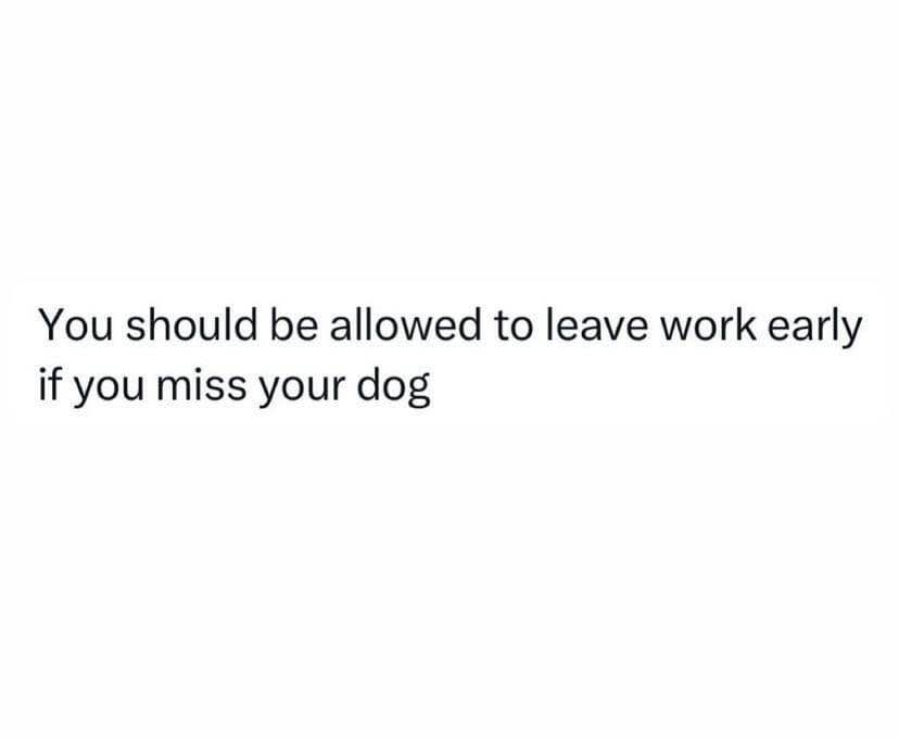 Seriously, they should let us leave work early if we miss our dog. I feel this so hard.