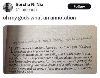 When you realize your annotation is more interesting than the actual book. It's a Youtube channel now.
