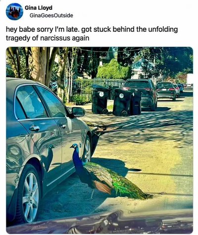 When you're stuck behind a …