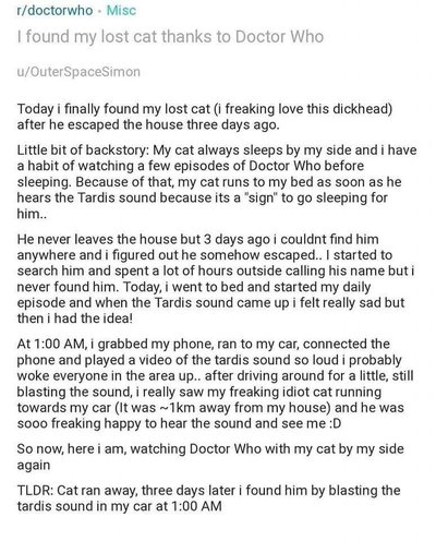 When your cat goes missing …