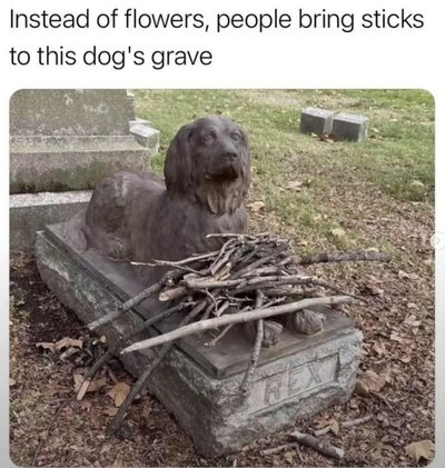 Guess this dog just LOVES fetch even from beyond the grave