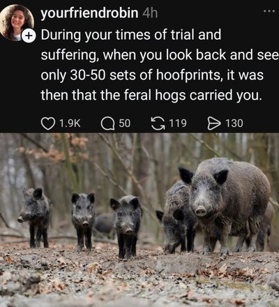 When you realize the only evidence of your past struggles is a small group of feral hogs carrying you.