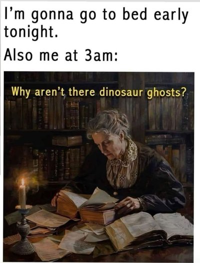 Me saying I wanna sleep early but then my brain starts asking the real questions at 3am