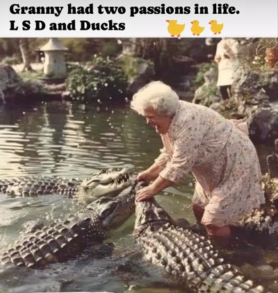 animals