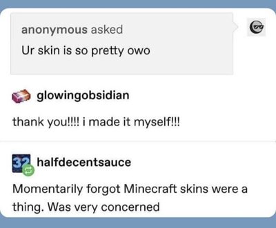 When you forget Minecraft skins exist and someone compliments your character's skin, making you think they're talking about actual skin.