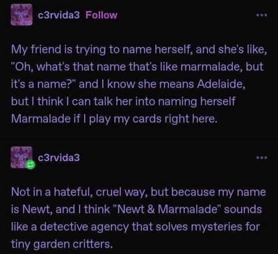 absurd