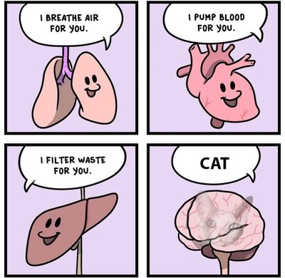 My organs working hard while …