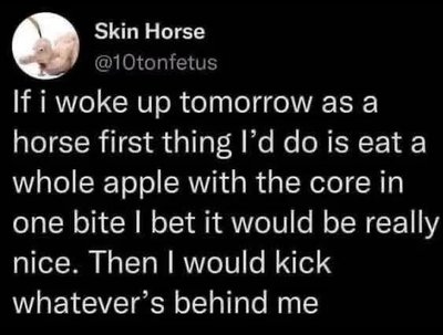 Imagine waking up as a horse and your first thought is to eat a whole apple with the core, then immediately kick something.
