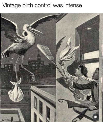 Imagine trying to shoo away a stork carrying your newborn with a mop lol