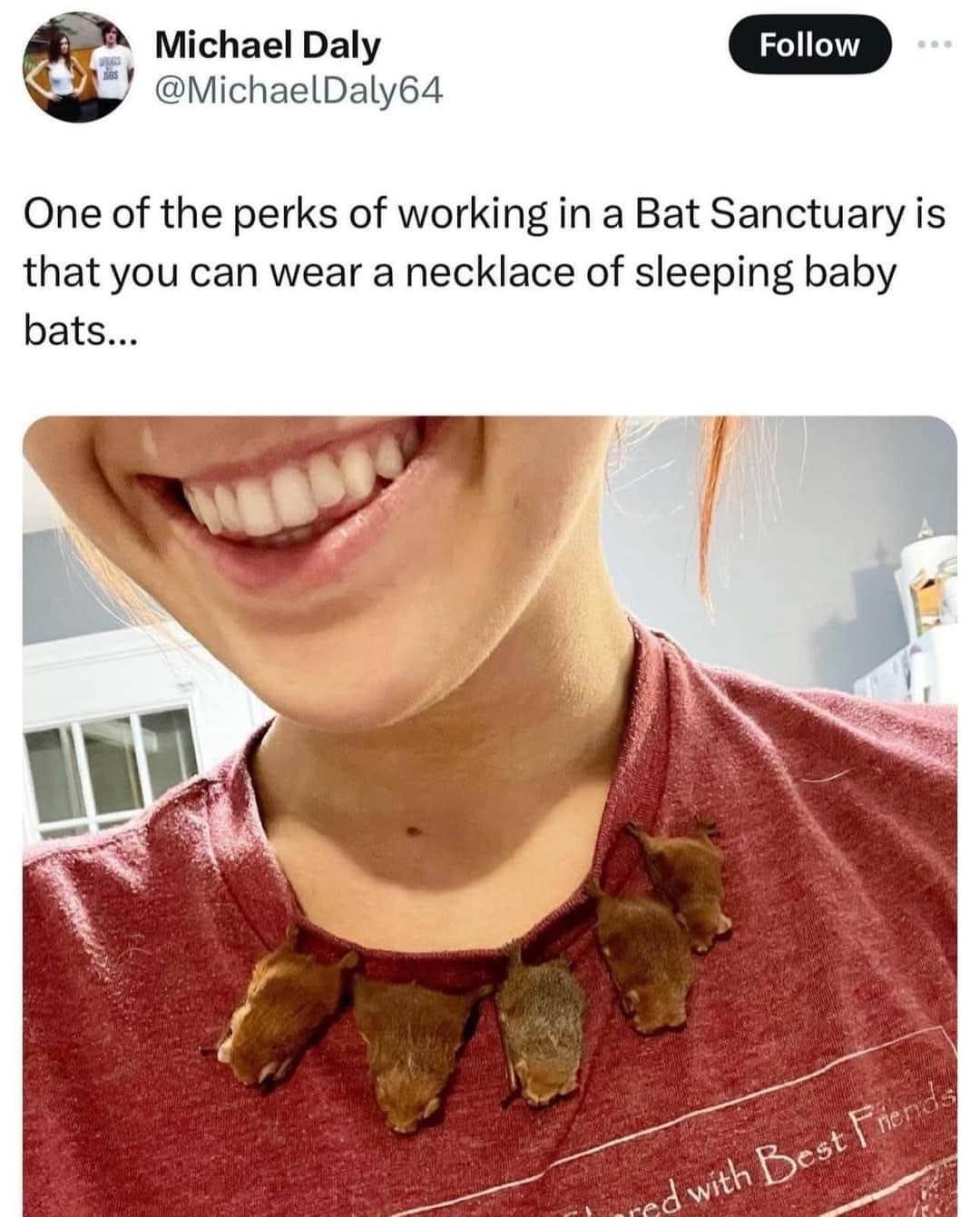 Someone got the ultimate employee discount at the bat sanctuary