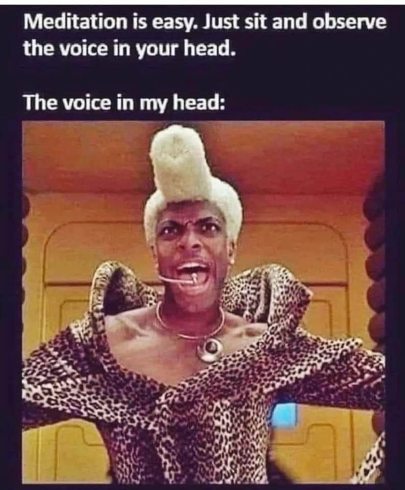 Yeah, my inner voice sounds exactly like Ruby Rhod trying to do meditation.