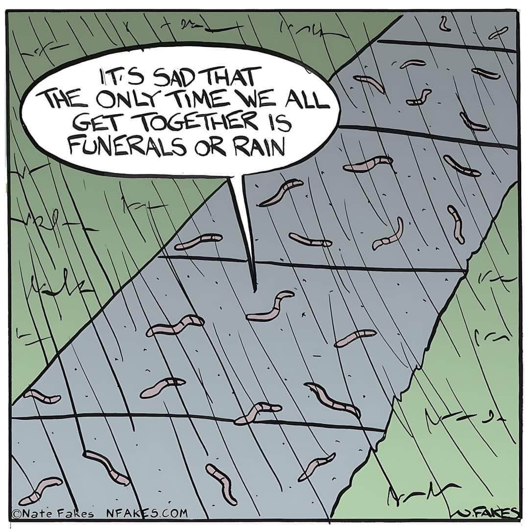Worms realizing they only come together for funerals or rain, which is pretty sad tbh
