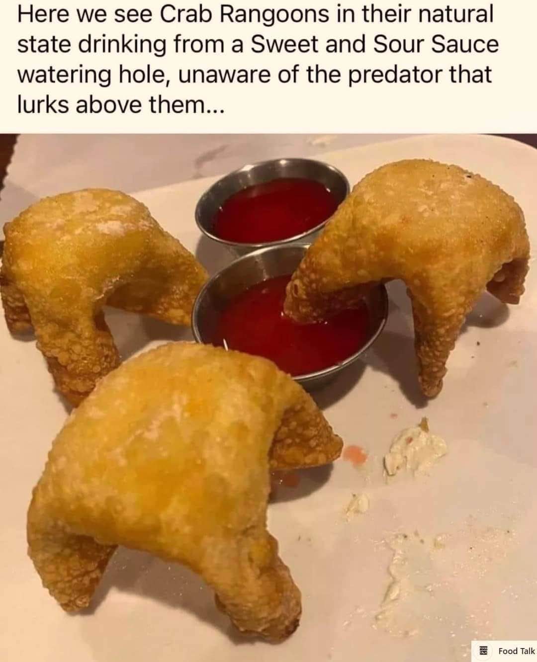 So these crab rangoons are just chilling, totally oblivious to the fact that they're about to be eaten.