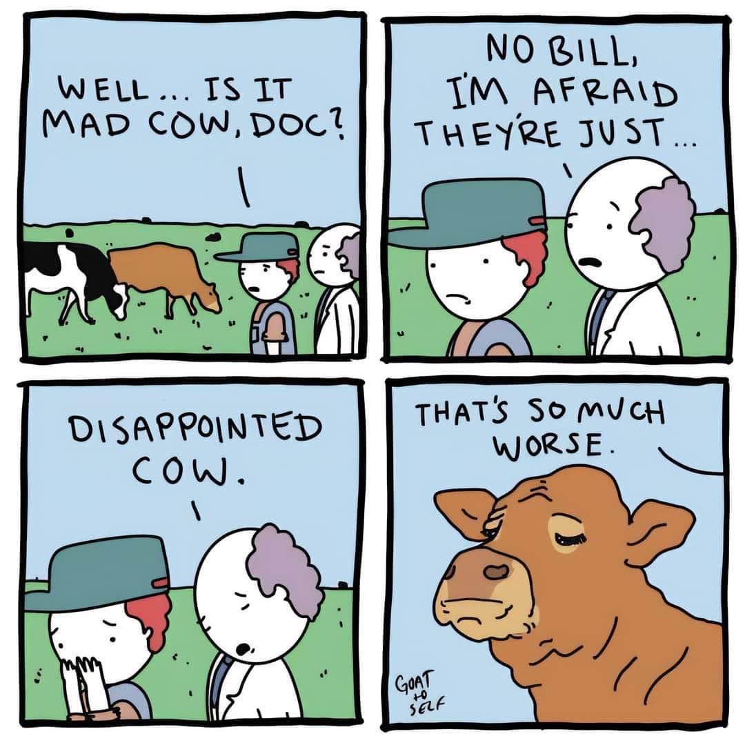 Thought it was mad cow disease but it's just a disappointed cow. That's way worse.