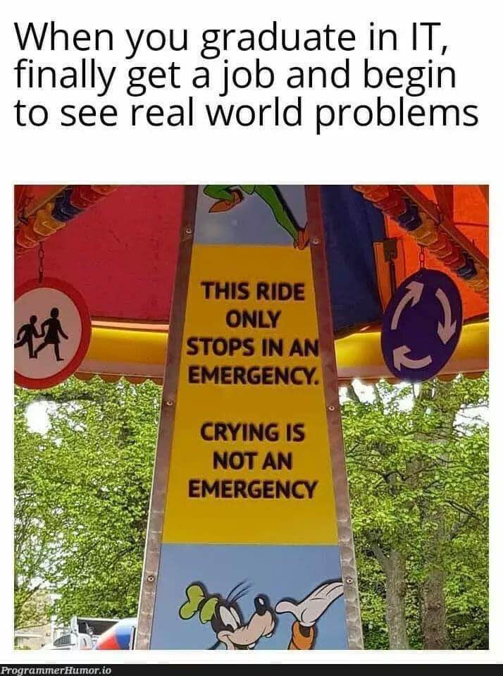 Me after my first week in the IT field when I realize the 'real world' doesn't care about my degree.