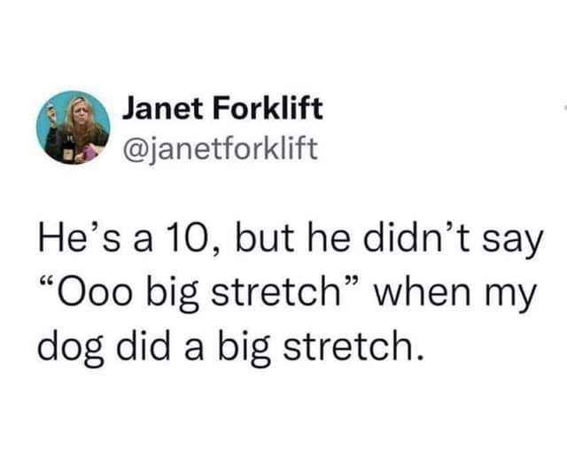 When he's a 10/10 but doesn't appreciate a good doggo stretch.