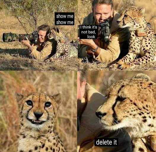 When you ask your friend to rate your selfie but they tell you to delete it