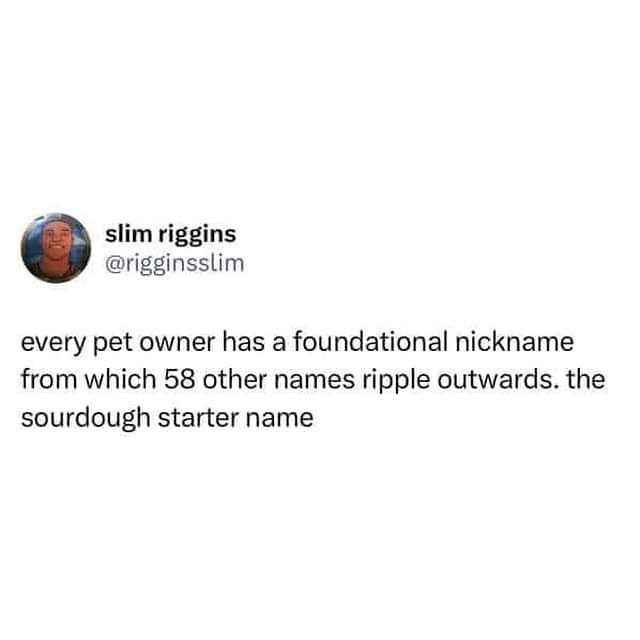 My pet has 58 nicknames because I named my sourdough starter once