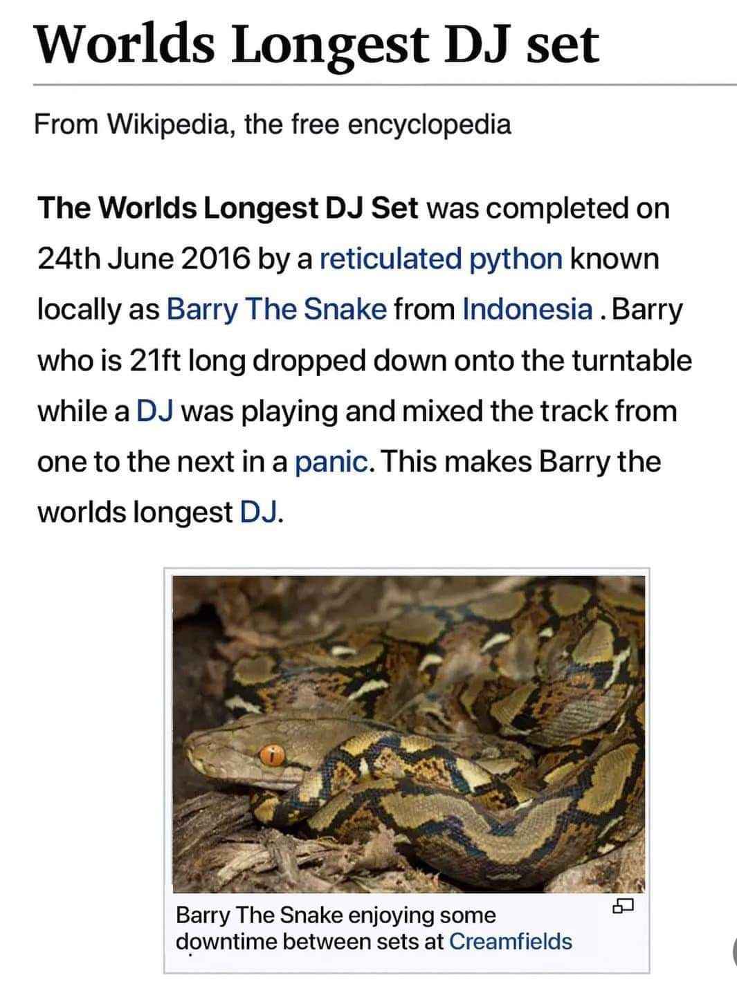 So apparently snakes can DJ now, and this one is named Barry The Snake. Talk about a slithering good time.