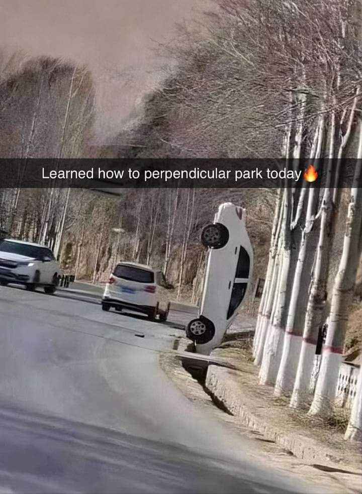 Nailed that parallel parking attempt.
