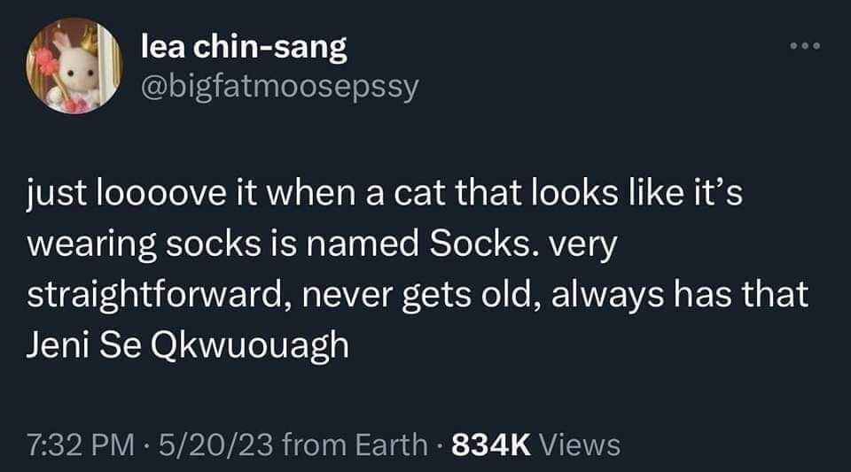 When a cat rocking socks is literally named Socks, like, how original. Bless its heart.
