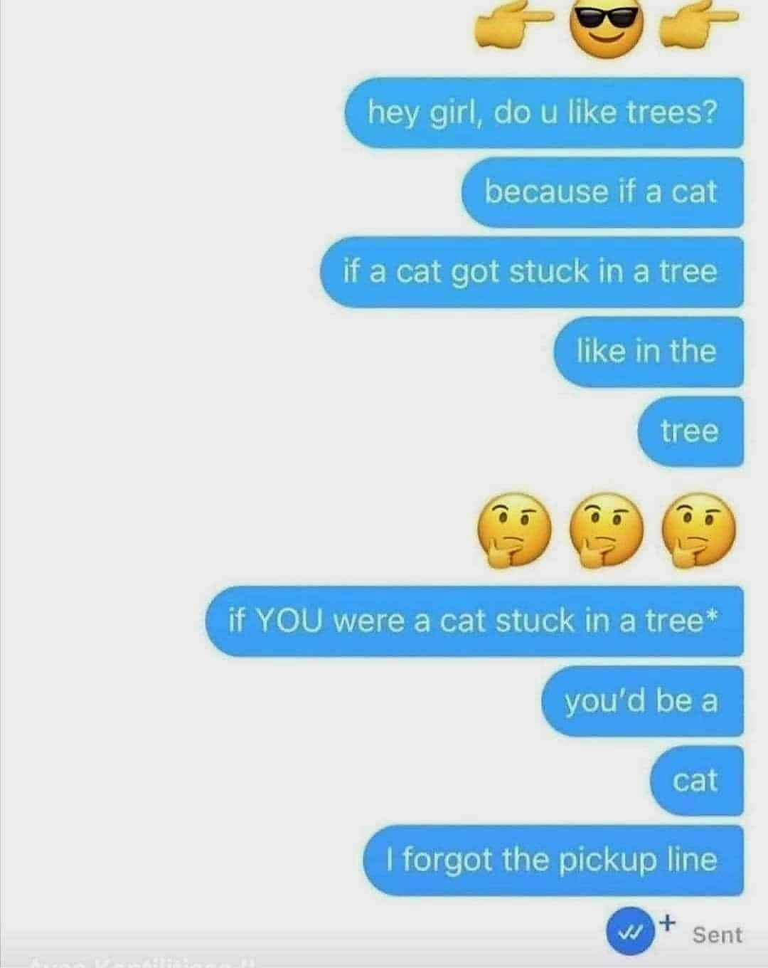 When you try a pickup line and it totally blows up in your face