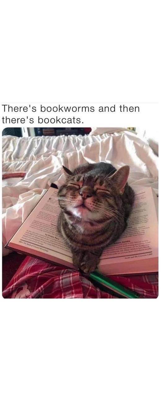 This cat is clearly more into the book cover art than the actual content.