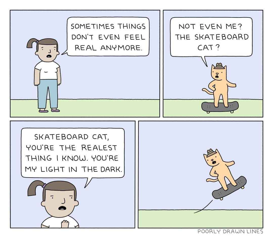 When the existential dread hits but at least the skateboard cat is real