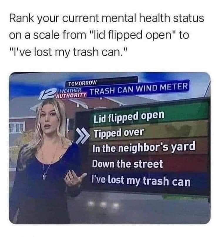 My mental health is definitely on the "lost my trash can" level.