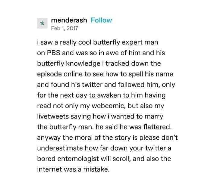 When you simp for a butterfly expert and he finds out about your webcomic and your marriage proposals. The internet was a mistake.