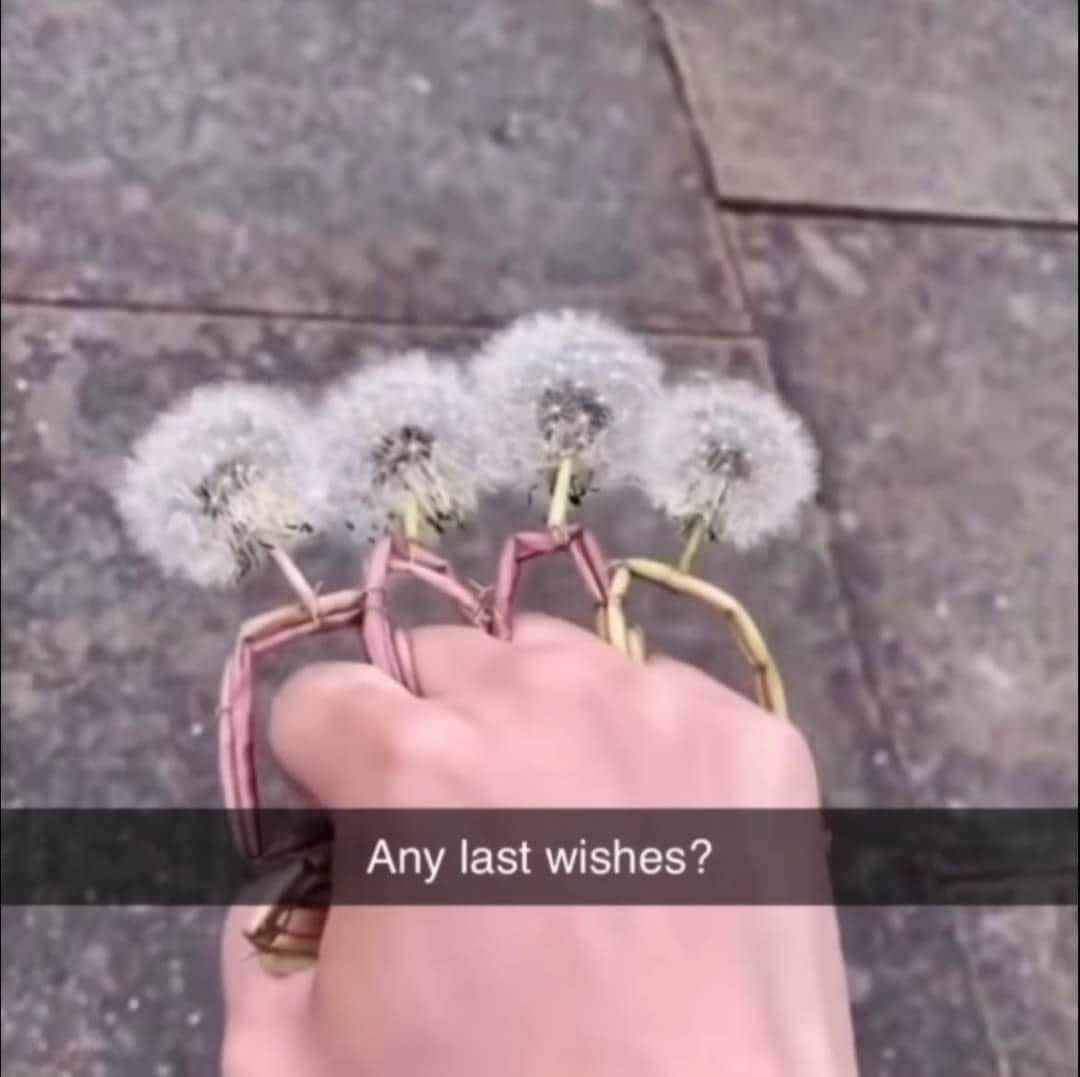 When you have four different wishes but only one blowing opportunity