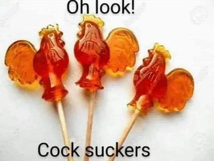 Oh look! Cock suckers