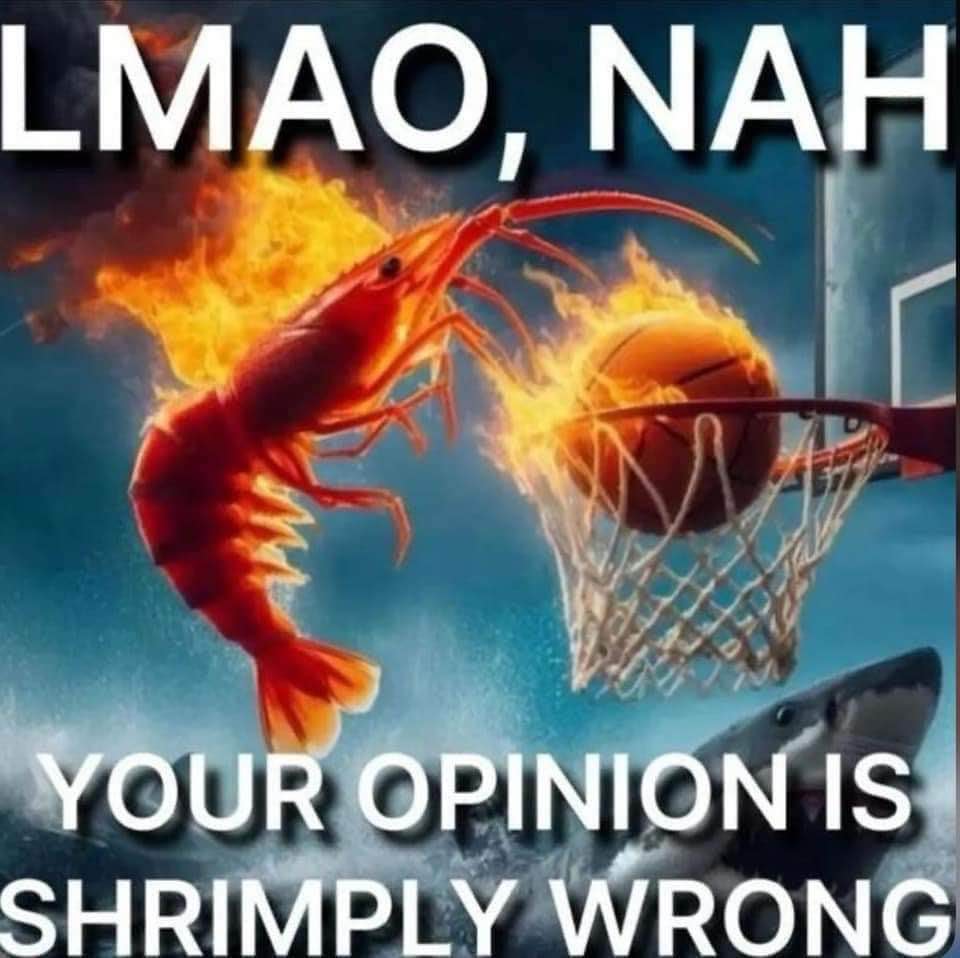 LMAO, nah, your opinion is shrimply wrong