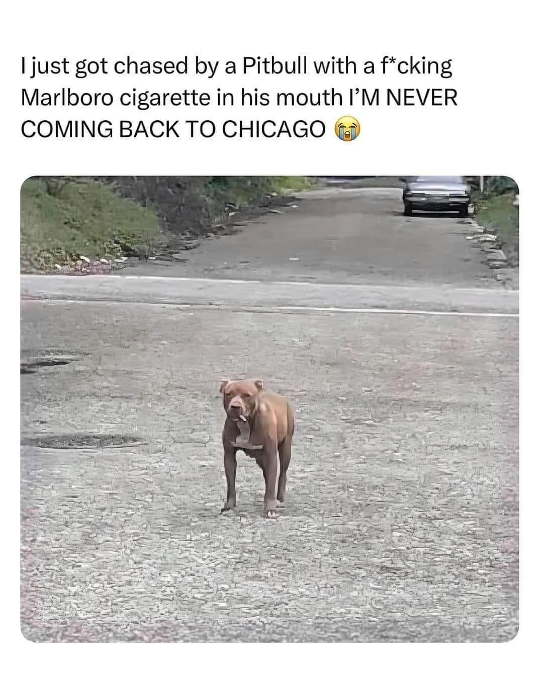 Noped out of Chicago forever after this encounter