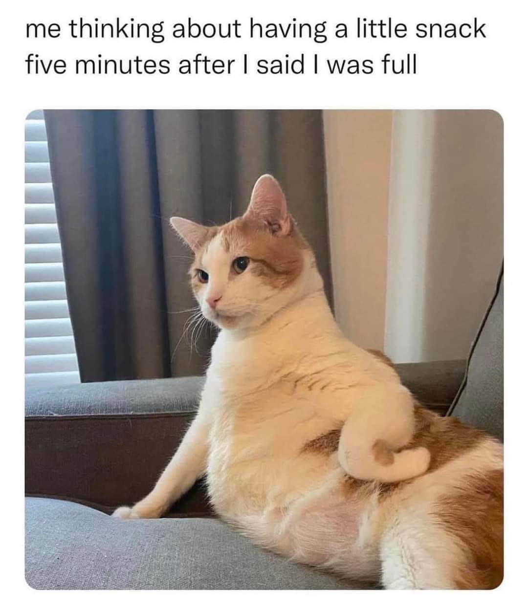 Me after I said I was full but then immediately start thinking about snacks again