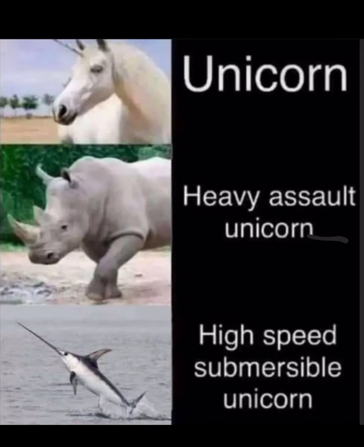 The evolution of my diet: from unicorn to heavy assault unicorn to high speed submersible unicorn.