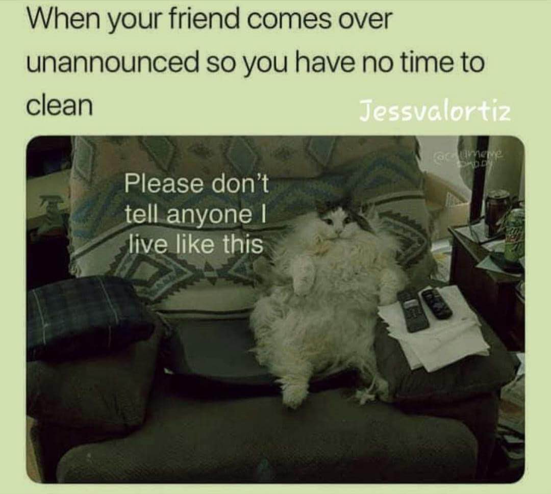 Me when my friend shows up unannounced and I haven't cleaned in weeks