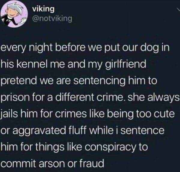 So my girlfriend and I sentence our dog to kennel like he's in prison, but she jails him for being too cute and I go for stuff like arson conspiracys.