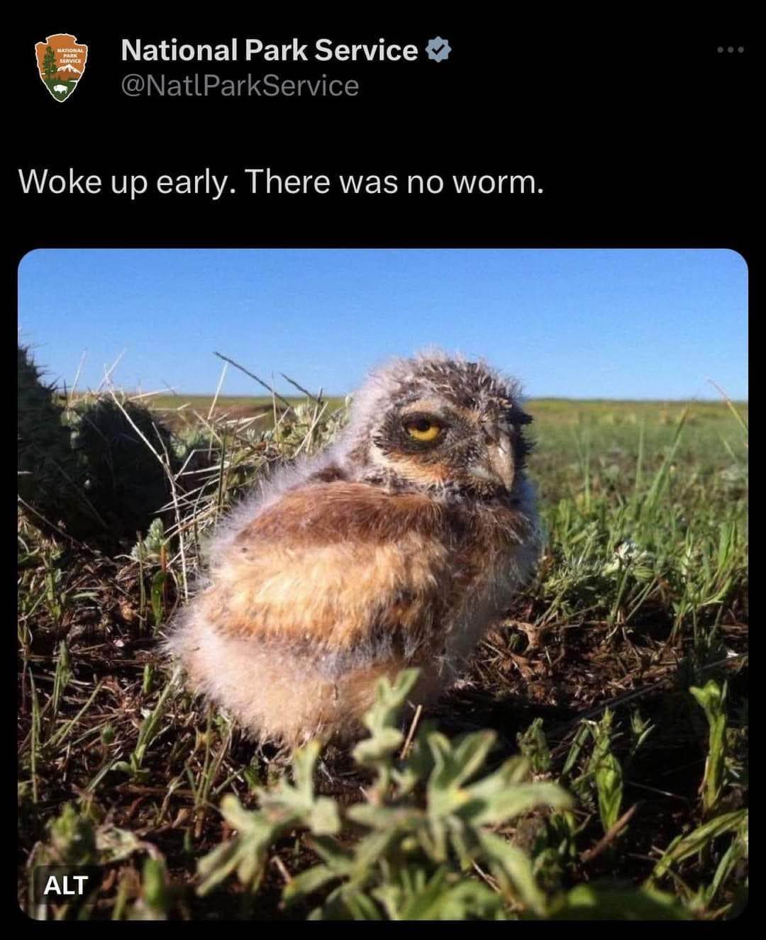 Me waking up early for something and it's a bust