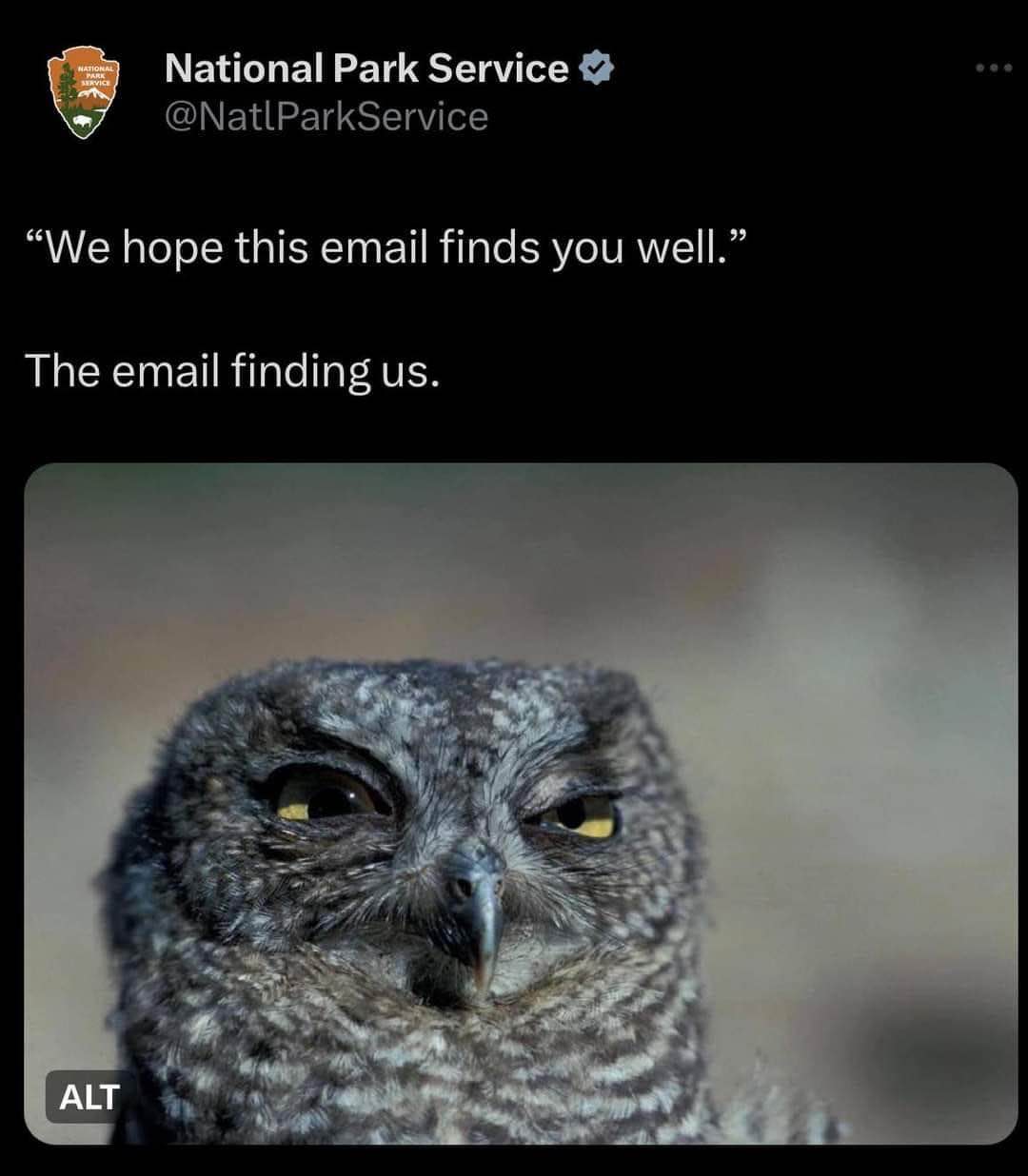 When the email opens with 'hope this finds you well' and you are absolutely not well
