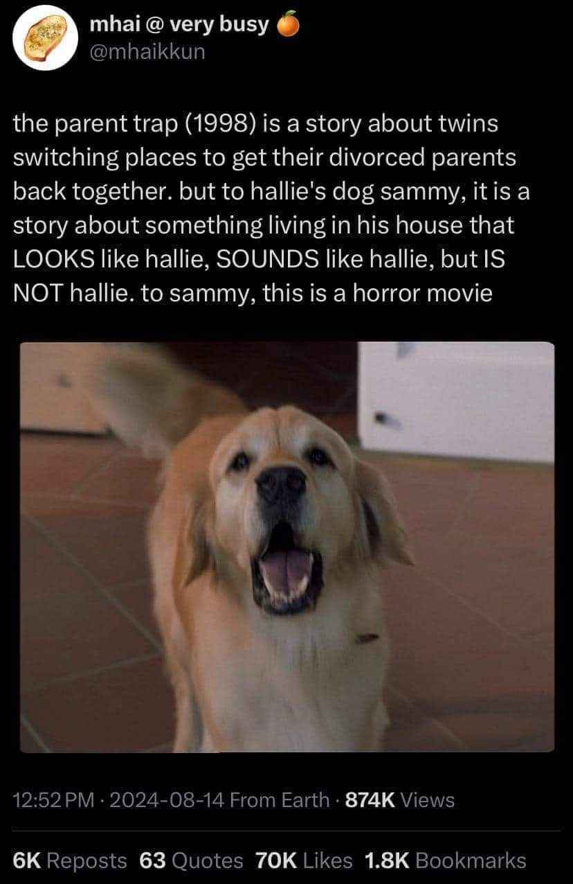The Parent Trap but from the dog's perspective, who is definitely seeing a doppelganger and not realizing it's twins