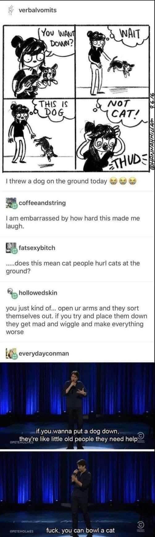 When you accidentally yeet your dog but then remember cats land on their feet so you should probably throw cats instead.