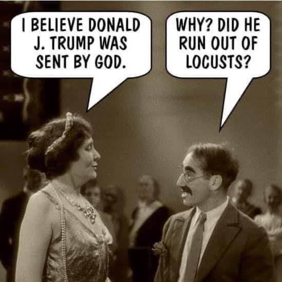 When someone says they believe Trump was sent by God, and you ask if he ran out of locusts.
